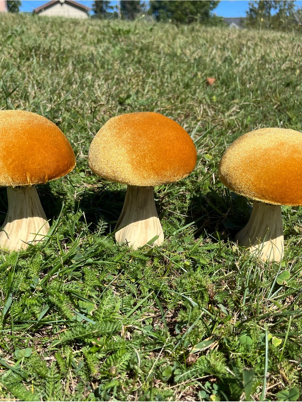 Vintage Mushroom Deco